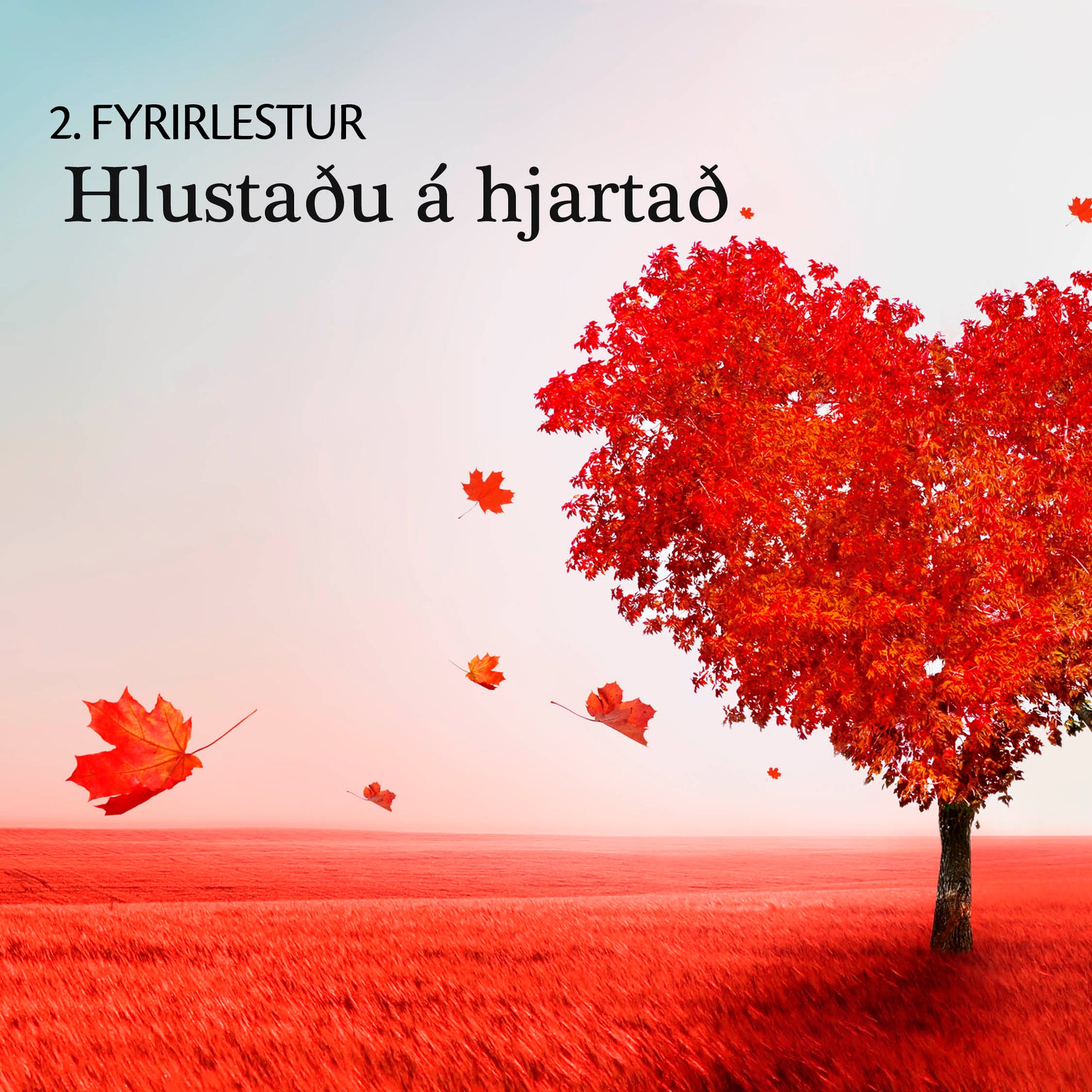 ANDLEG TILTEKT - út með ruslið, inn með fegurð & betri framtíð!