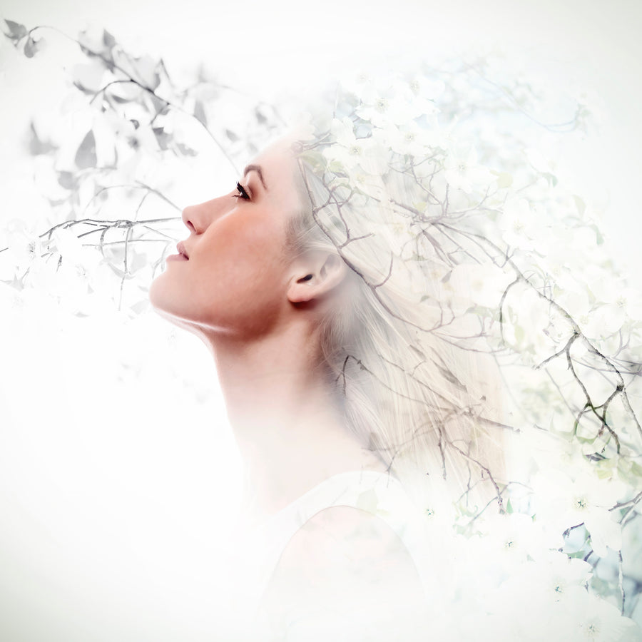 Dáleiðsla / Hugræn endurforritun