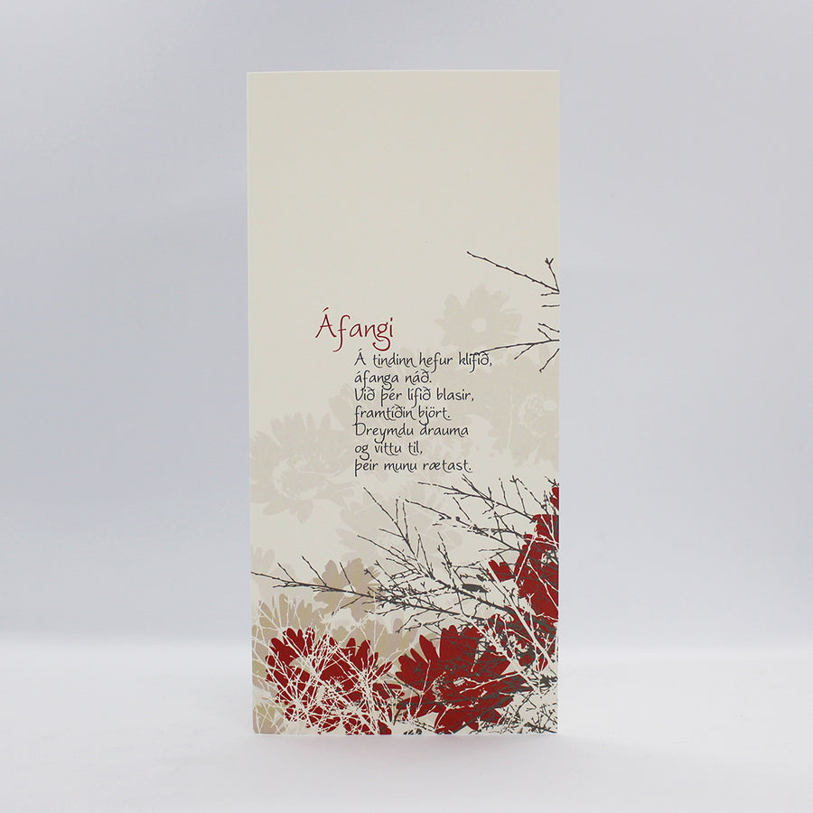 Tilboðspakki - 5 stór kort