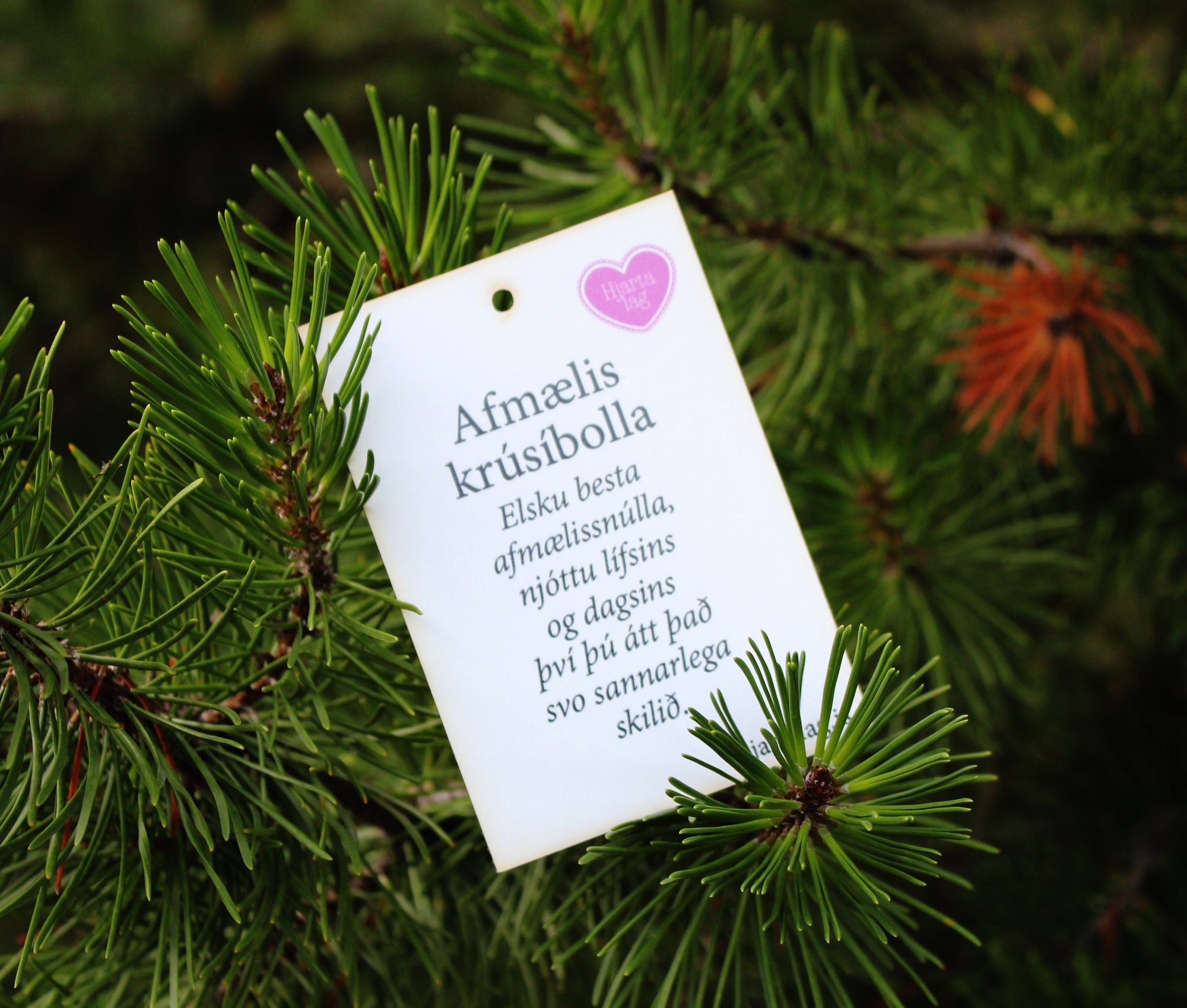 Gullkorn eftir Huldu Ólafsdóttur