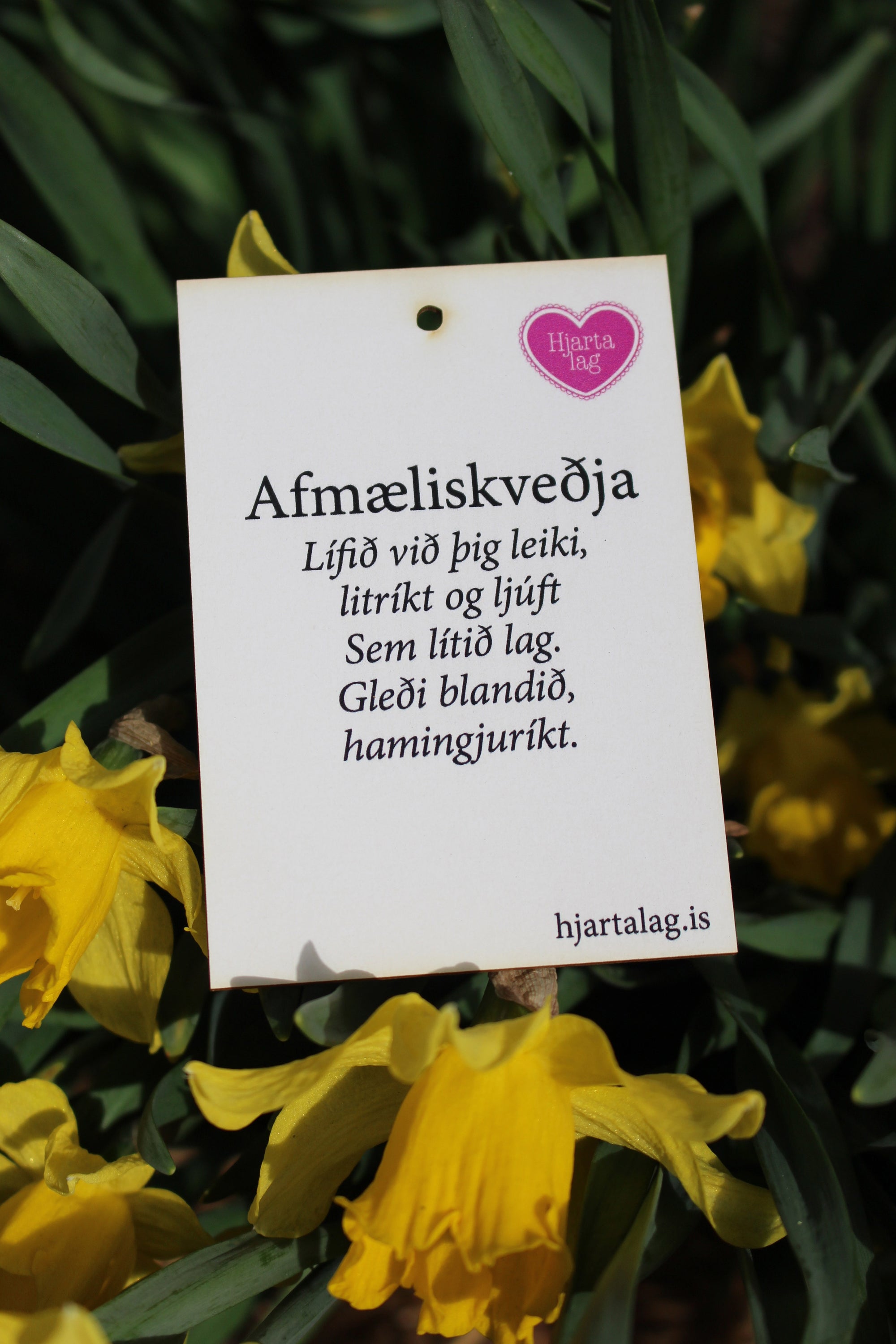 Afmæliskveðja - gullkorn eftir Huldu Ólafsdóttur