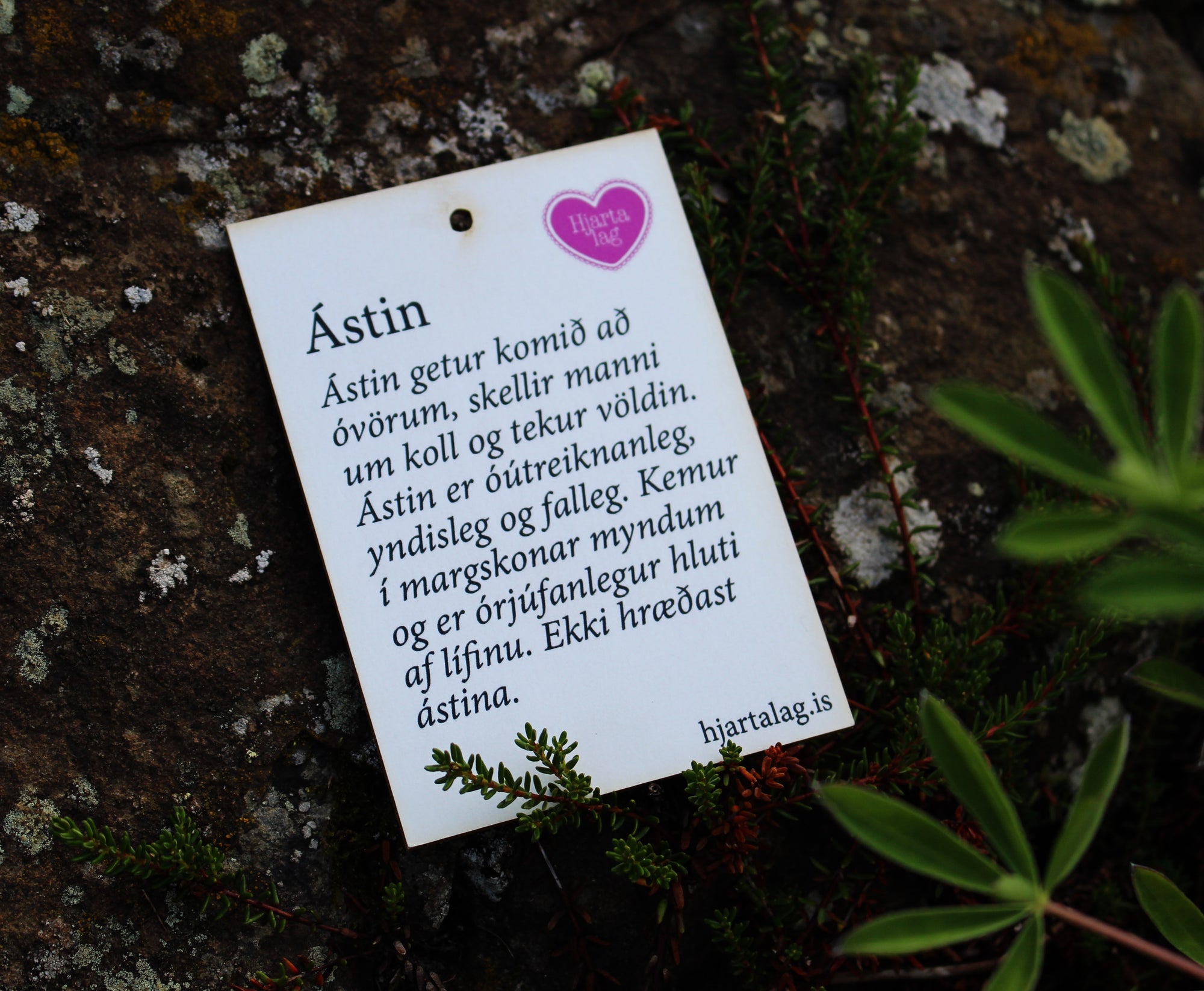 Ástin - gullkorn eftir Huldu Ólafsdóttur