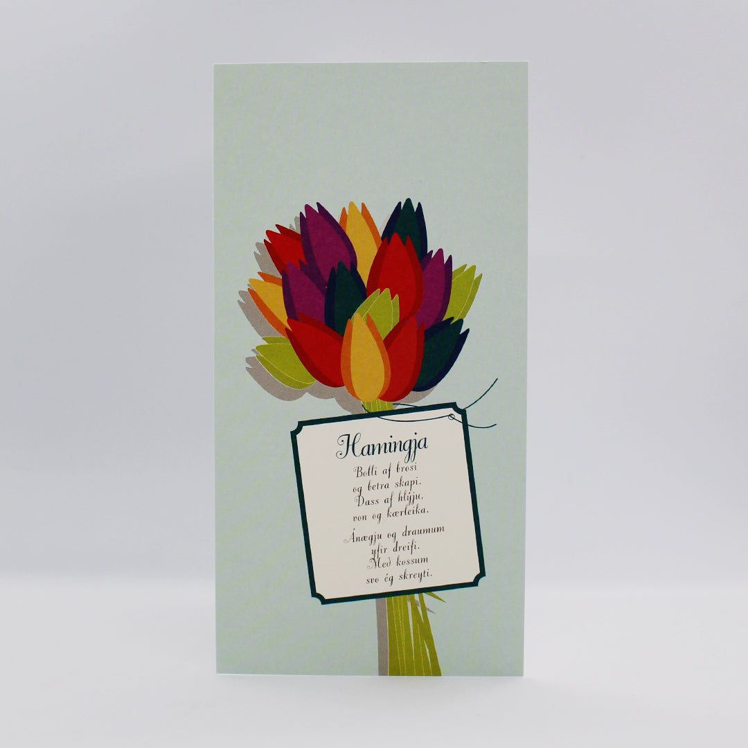 Tilboðspakki - 5 stór kort