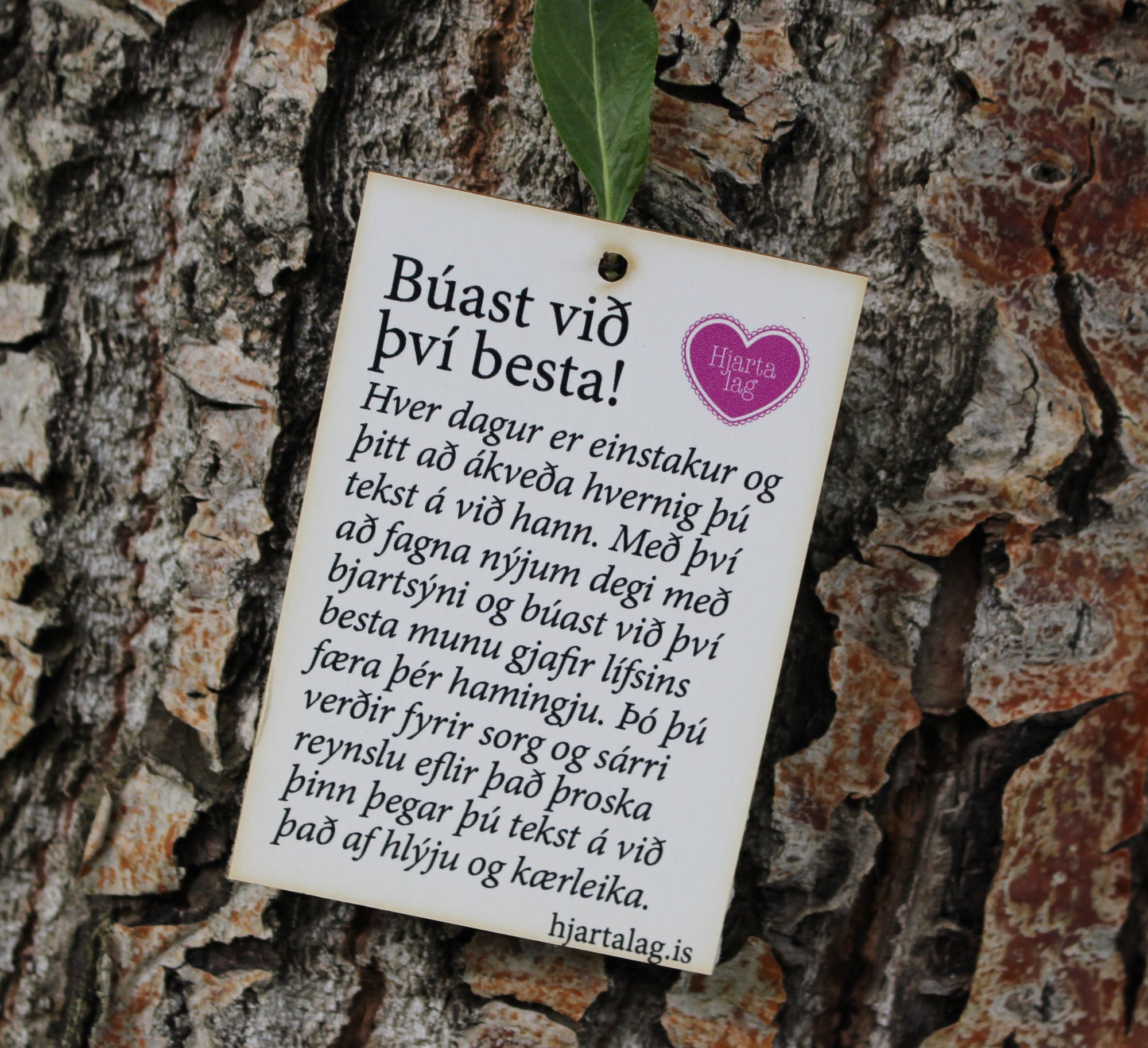 Gullkorn eftir Huldu Ólafsdóttur - Búast við því besta