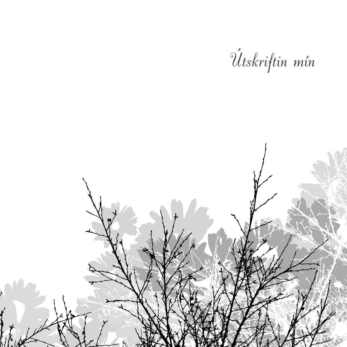 Gestabók fyrir útskrift - Útskriftin mín - hvít og grátóna