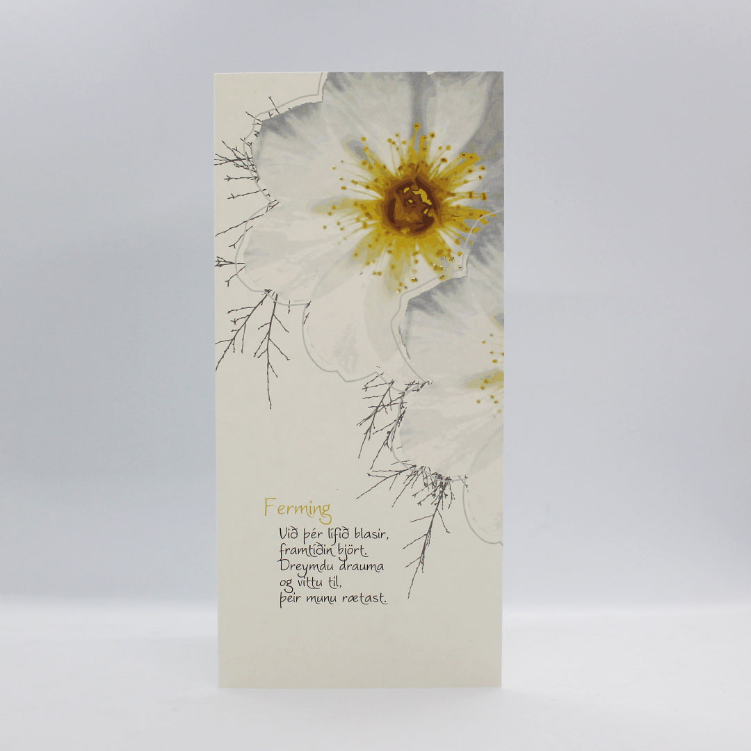 Tilboðspakki - 5 stór kort