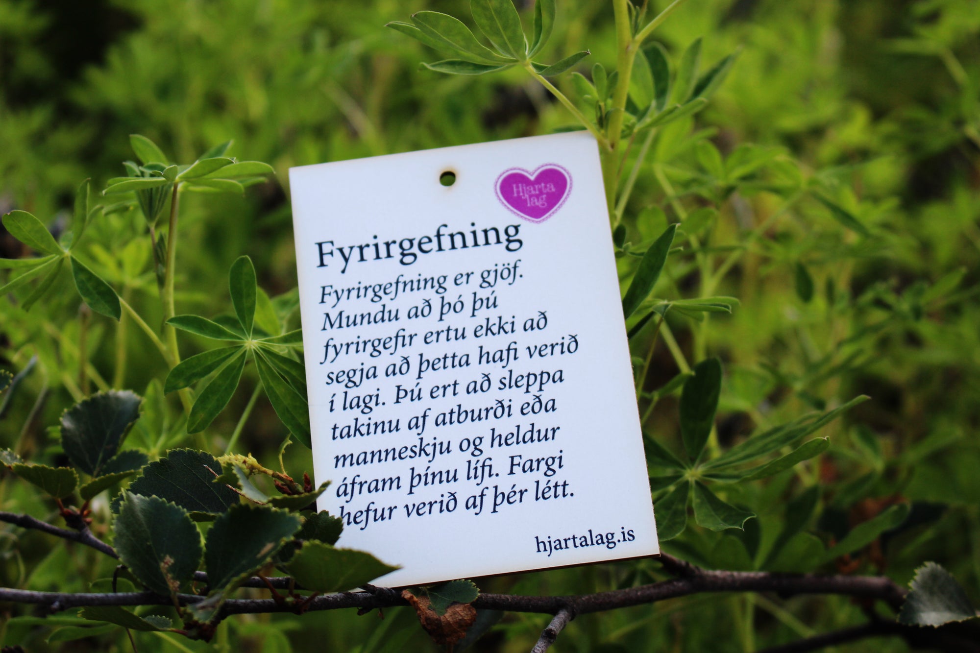 Gullkorn eftir Huldu Ólafsdóttur - Fyrirgefning