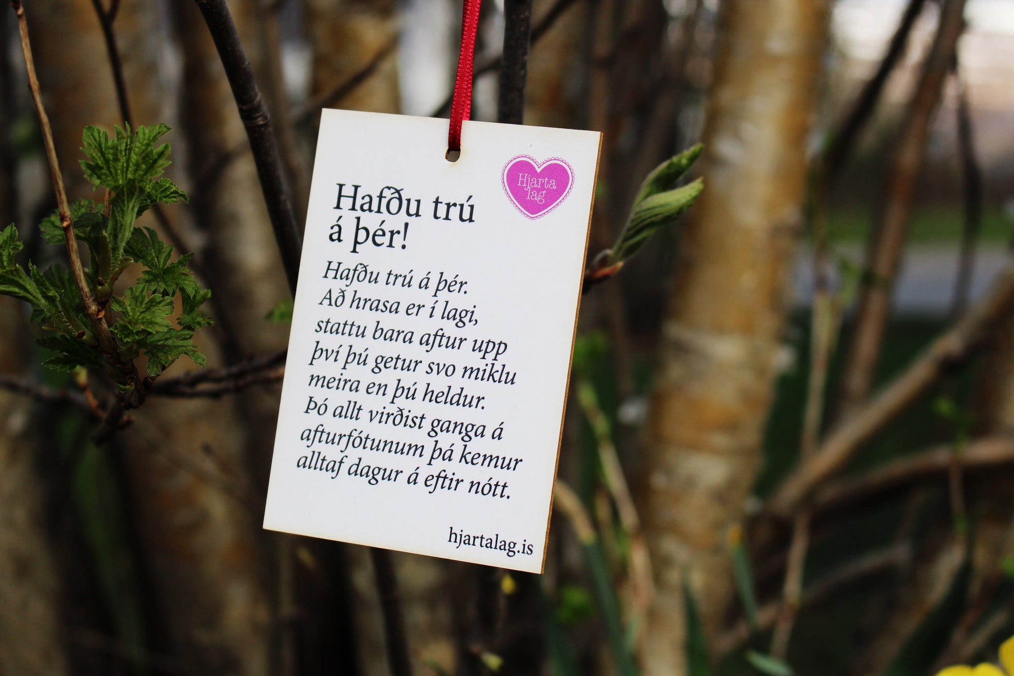 Gullkorn eftir Huldu Ólafsdóttur - Hafðu trú á þér!