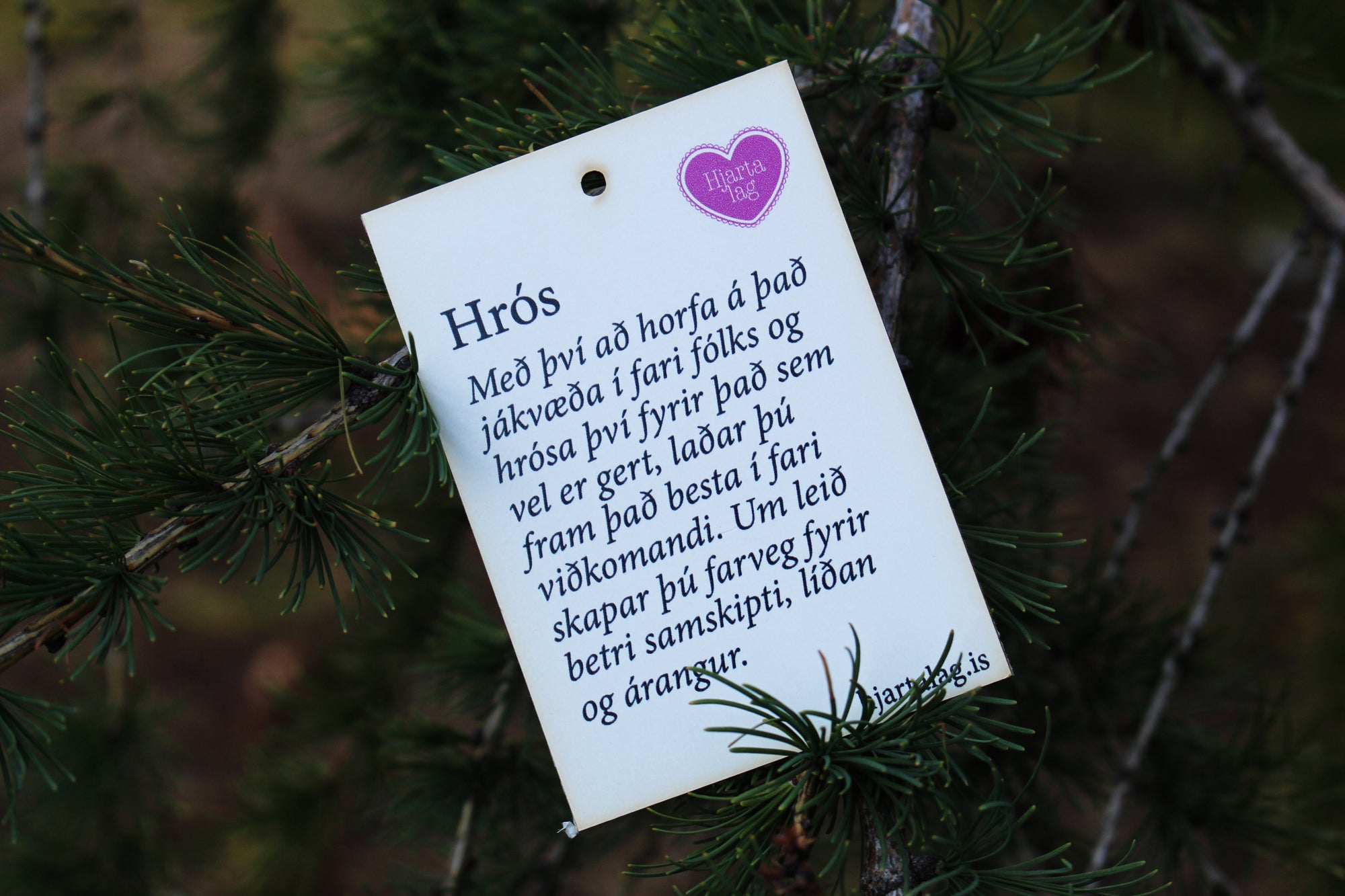 Gullkorn eftir Huldu Ólafsdóttur - Hrós