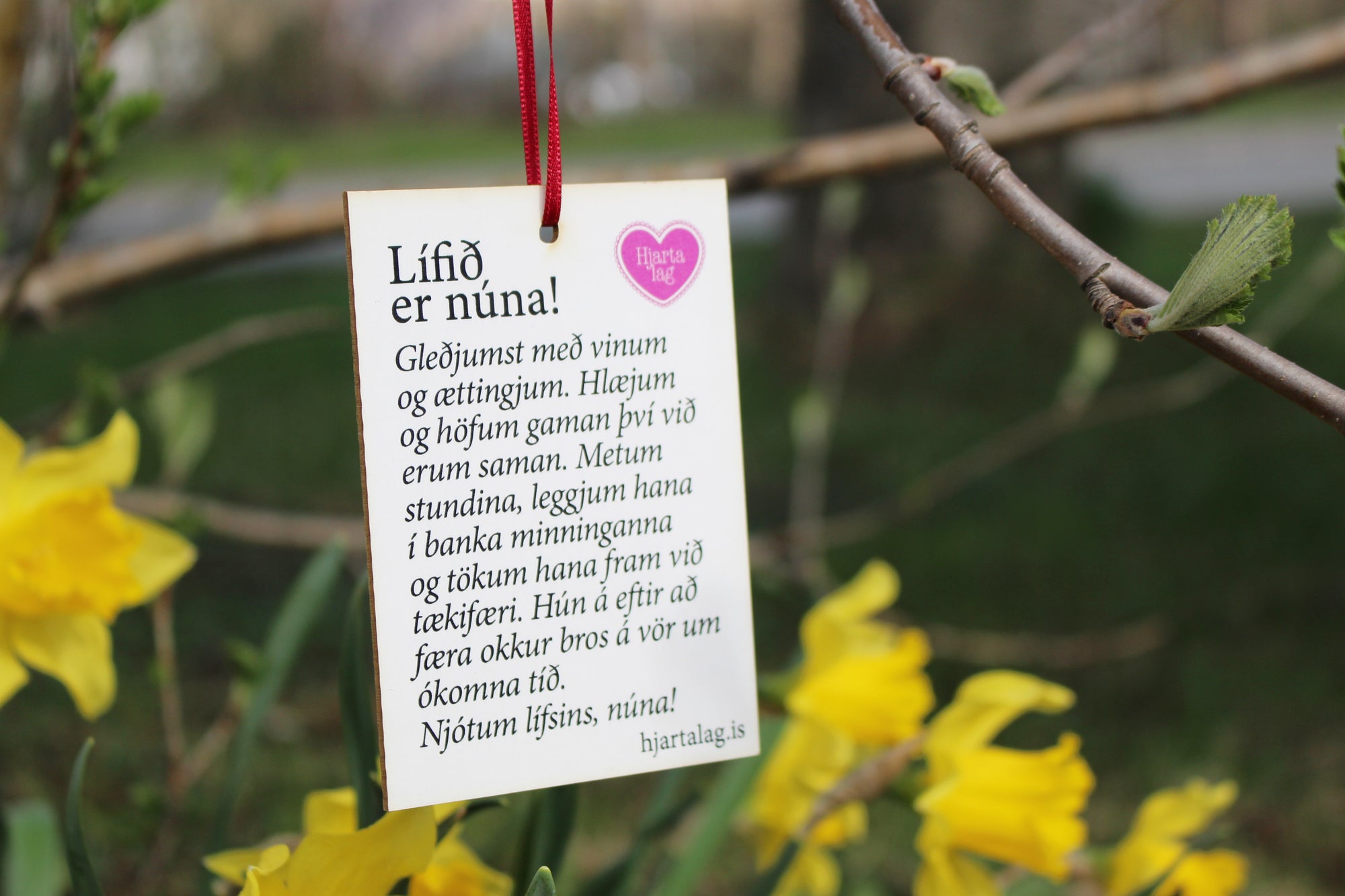 Gullkorn eftir Huldu Ólafsdóttur - Lífið er núna!