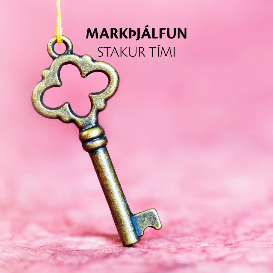 Markþjálfun - stakur tími