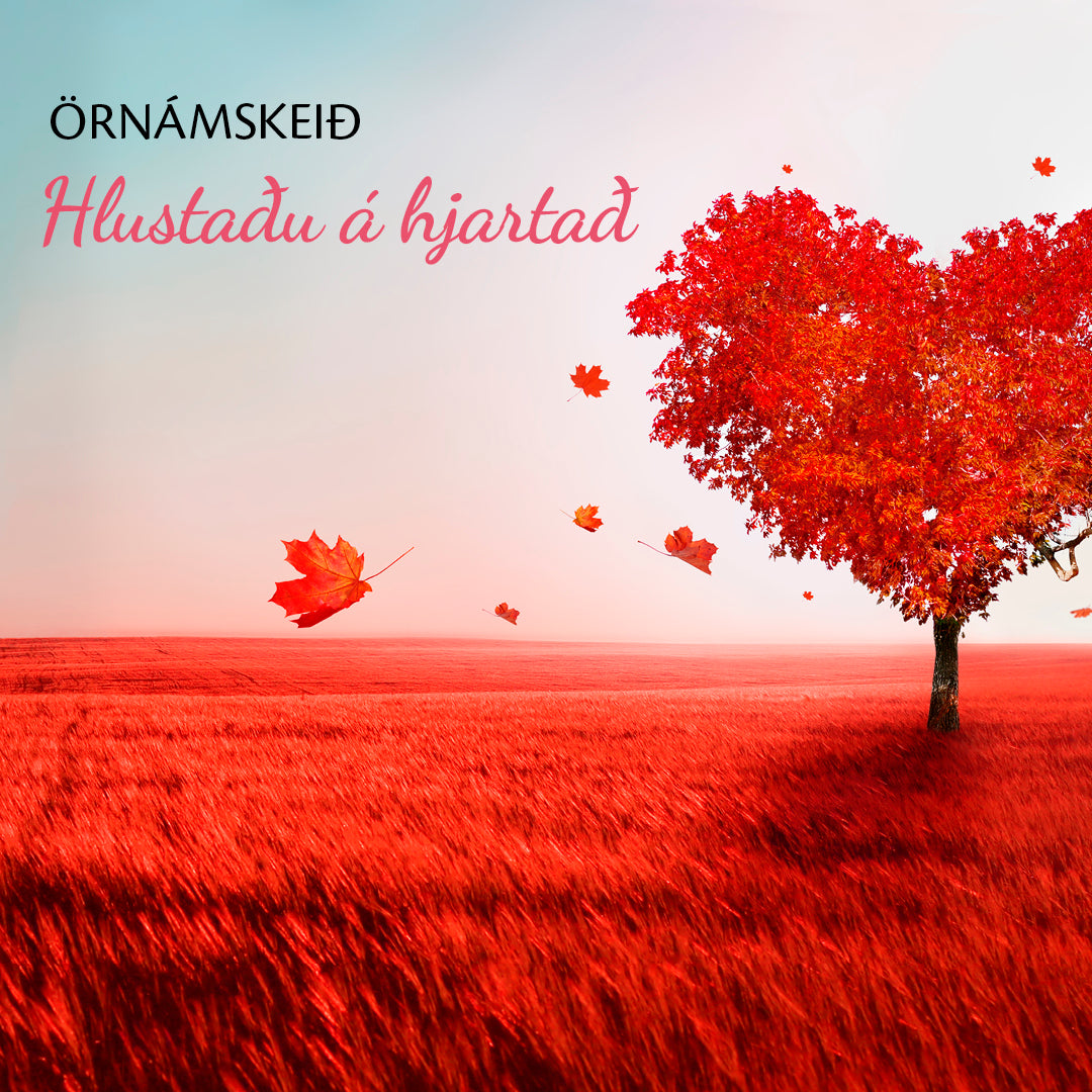 Hlustaðu á hjartað - Örnámskeið