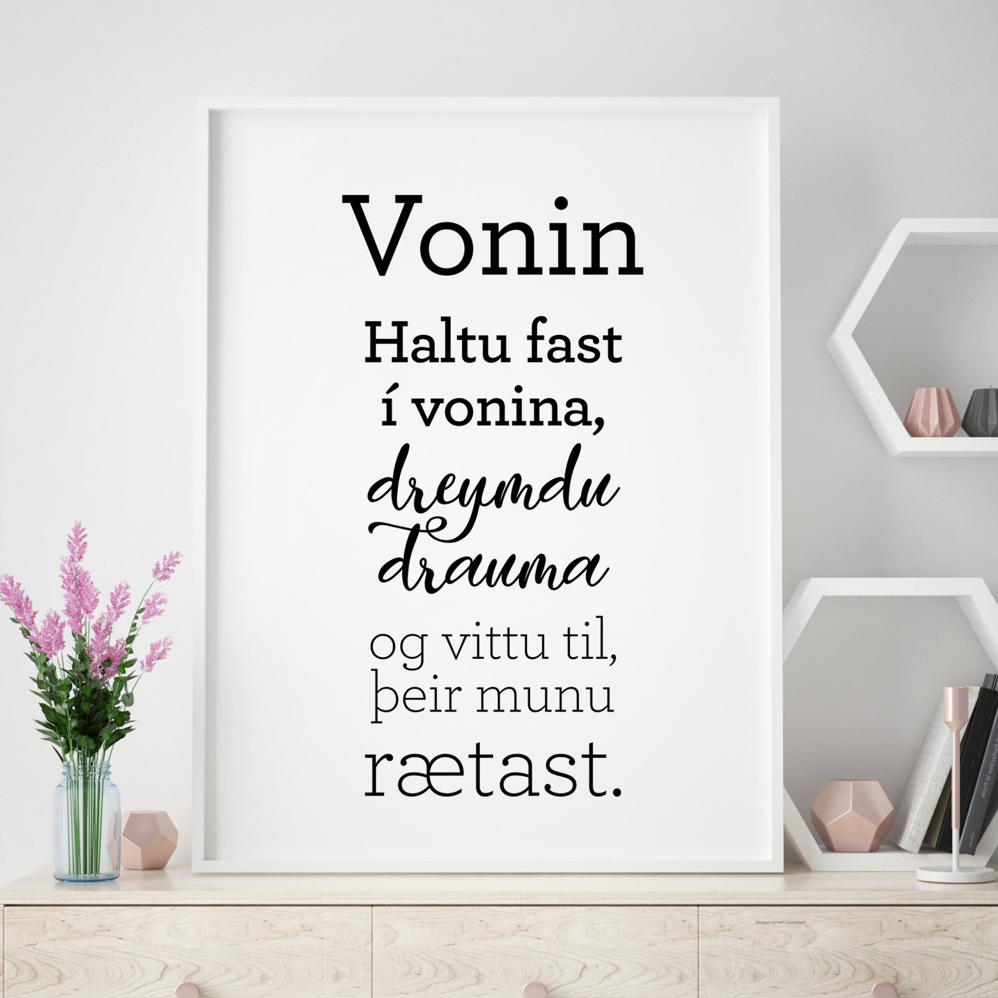 Plakat - Vonin