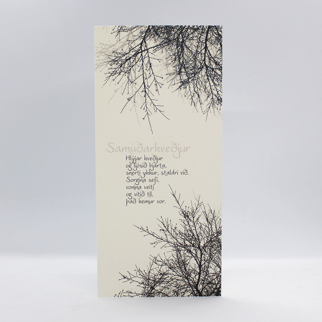 Tilboðspakki - 5 stór kort