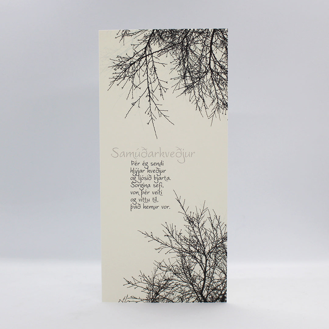 Tilboðspakki - 5 stór kort