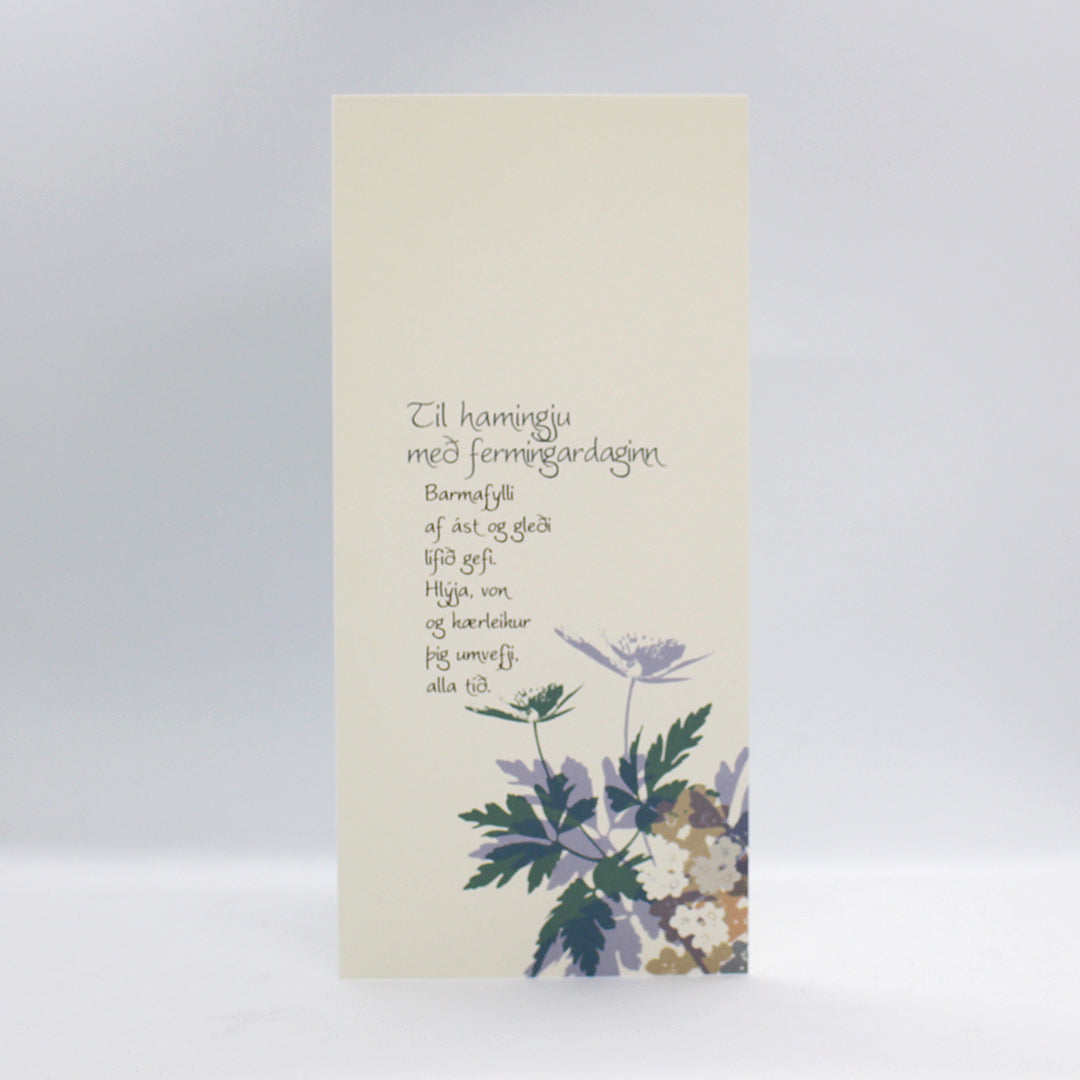 Tilboðspakki - 5 stór kort