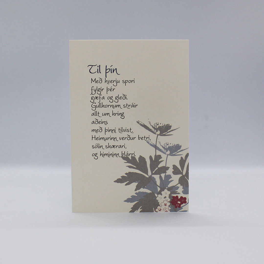 Tilboðspakki - 10 kort lítil að eigin vali