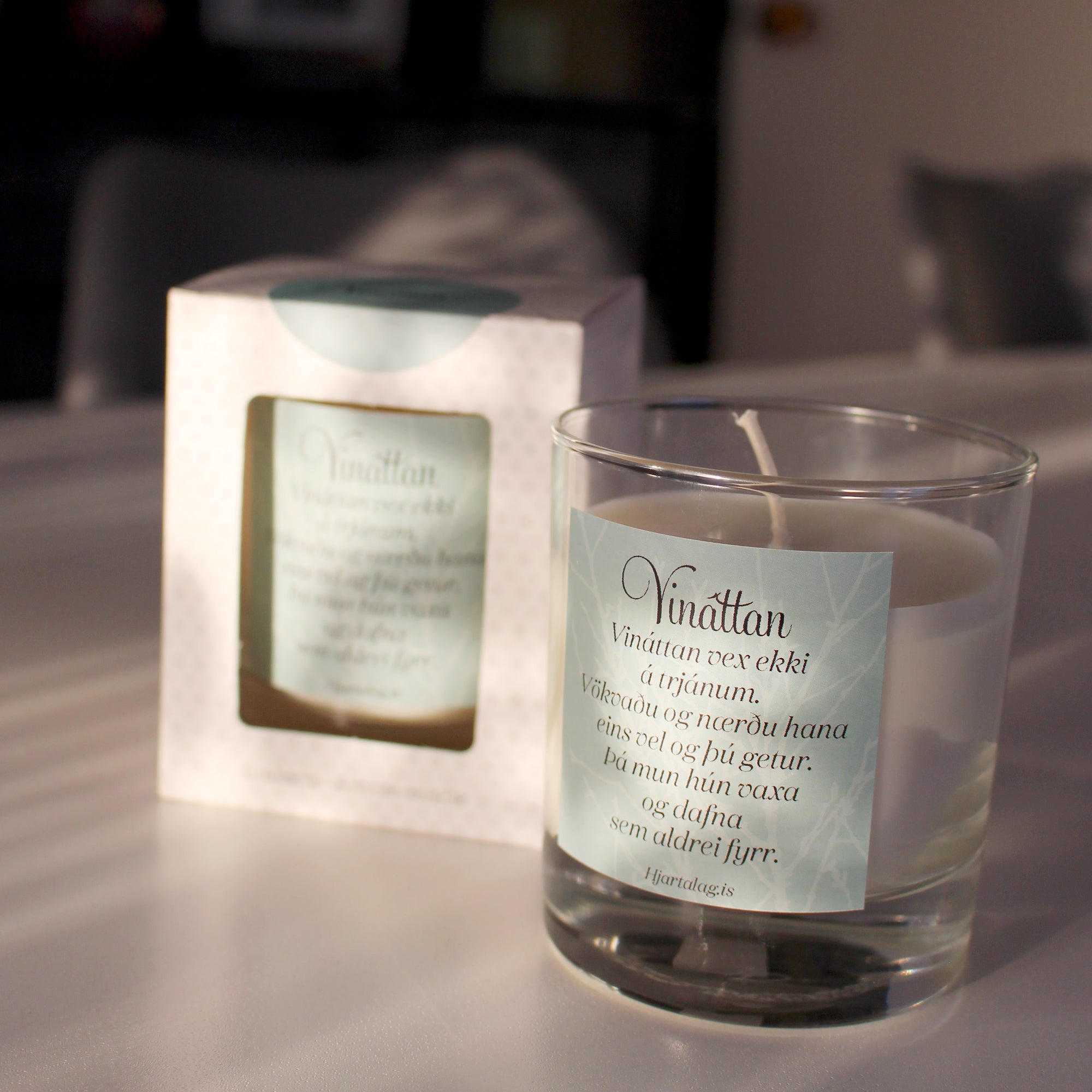 Vinátta 2021 - ilmkerti