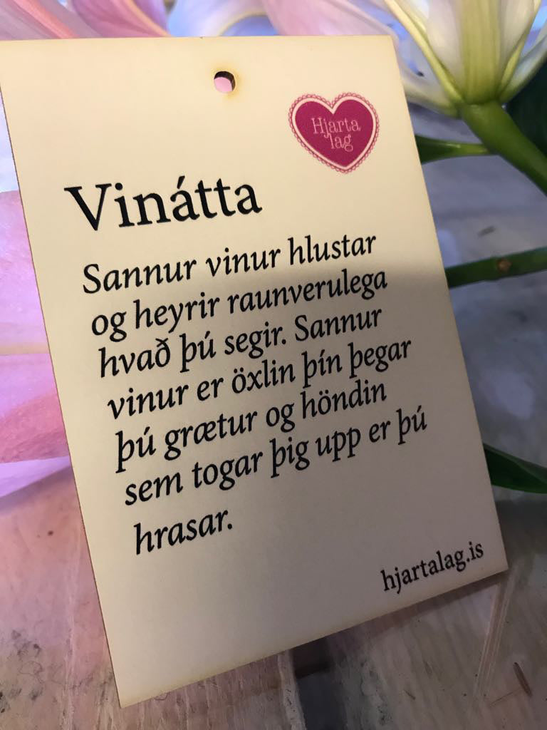 Gullkorn eftir Huldu Ólafsdóttur - Vinátta