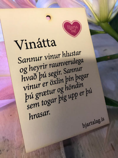 Gullkorn eftir Huldu Ólafsdóttur - Vinátta