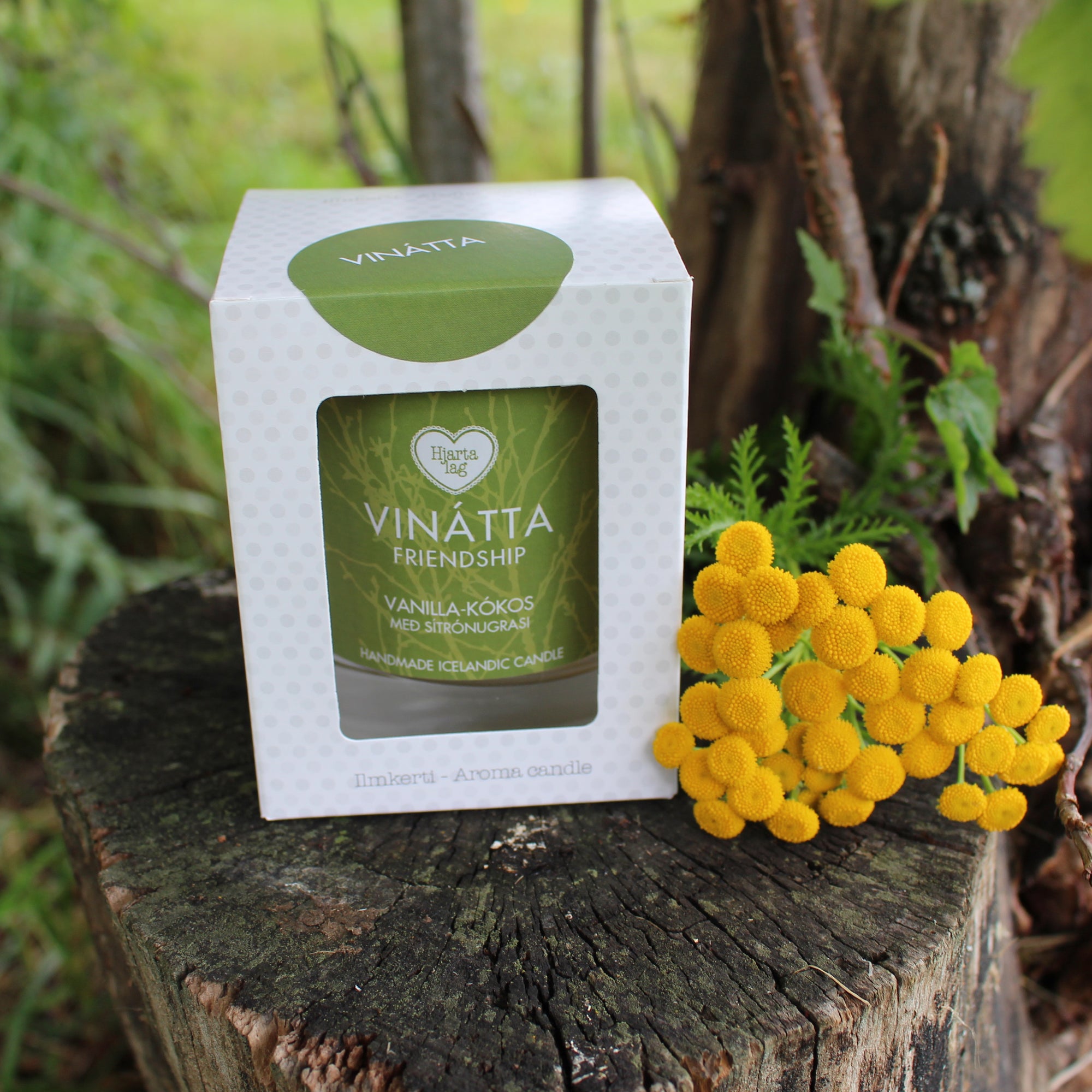 Vinátta - ilmkerti (án ljóðs)