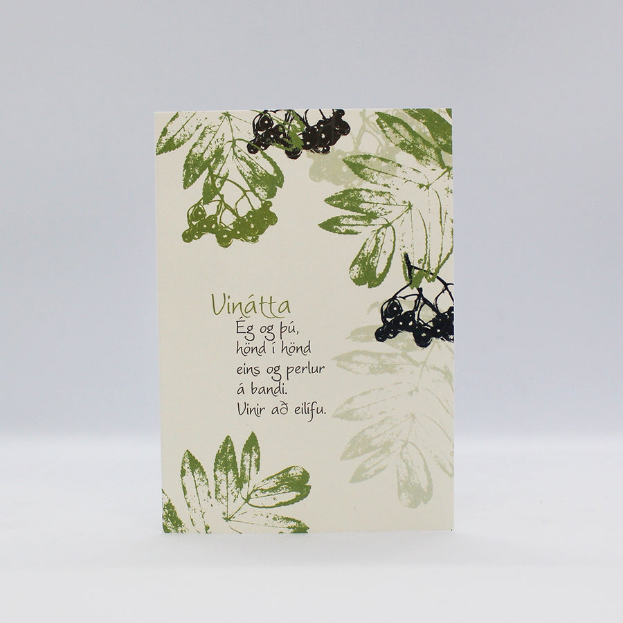 Tækifæriskort - Vinátta - Ljóð: Hulda Ólafsdóttir