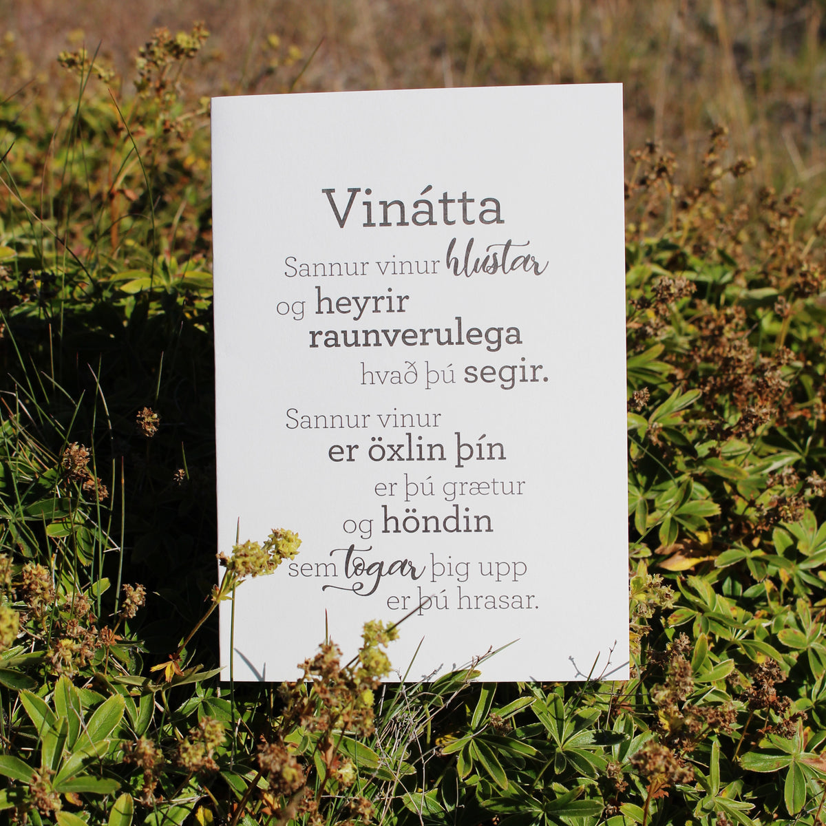 Vinátta - miðstærð