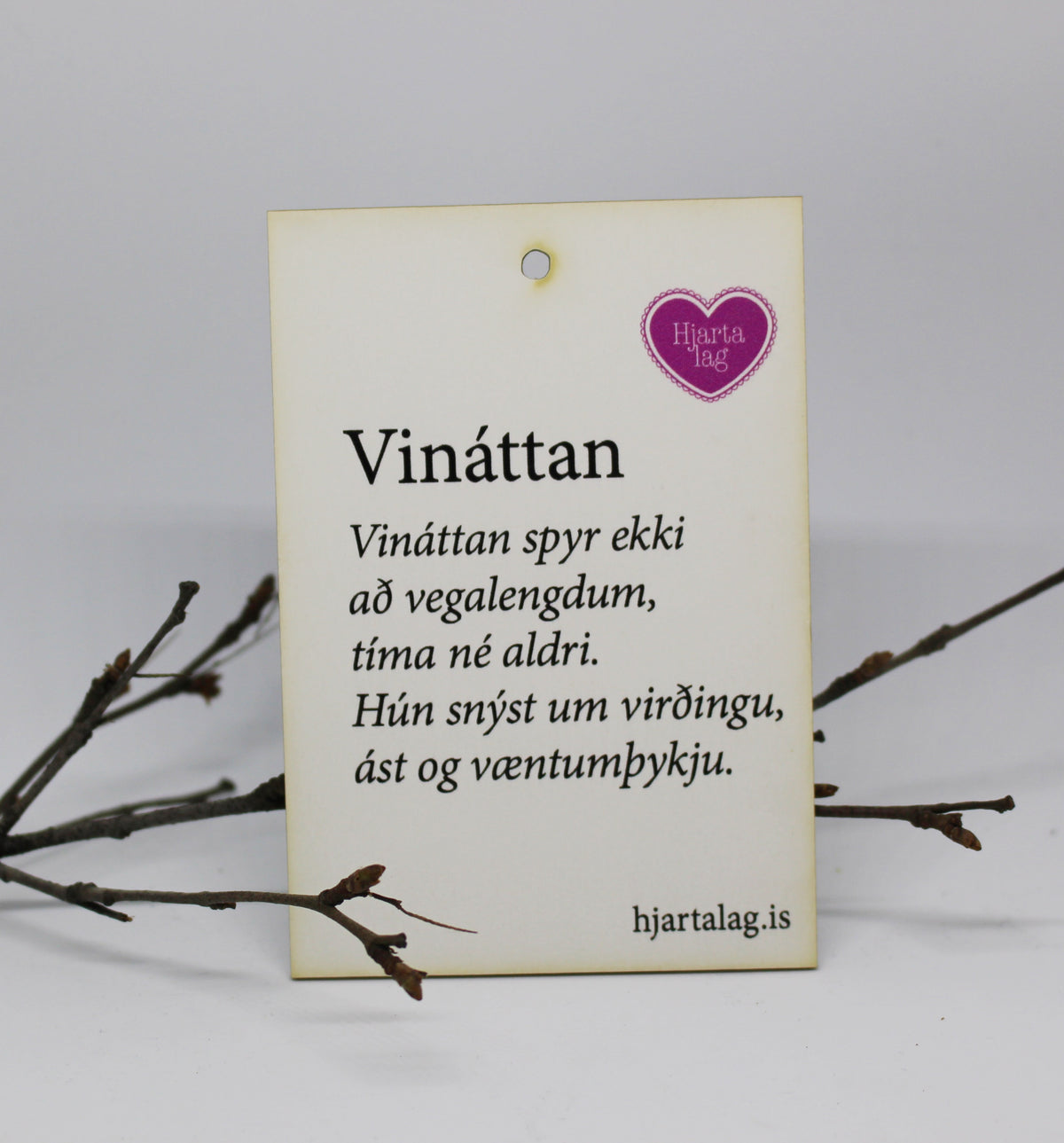 Gullkorn eftir Huldu Ólafsdóttur - Vináttan